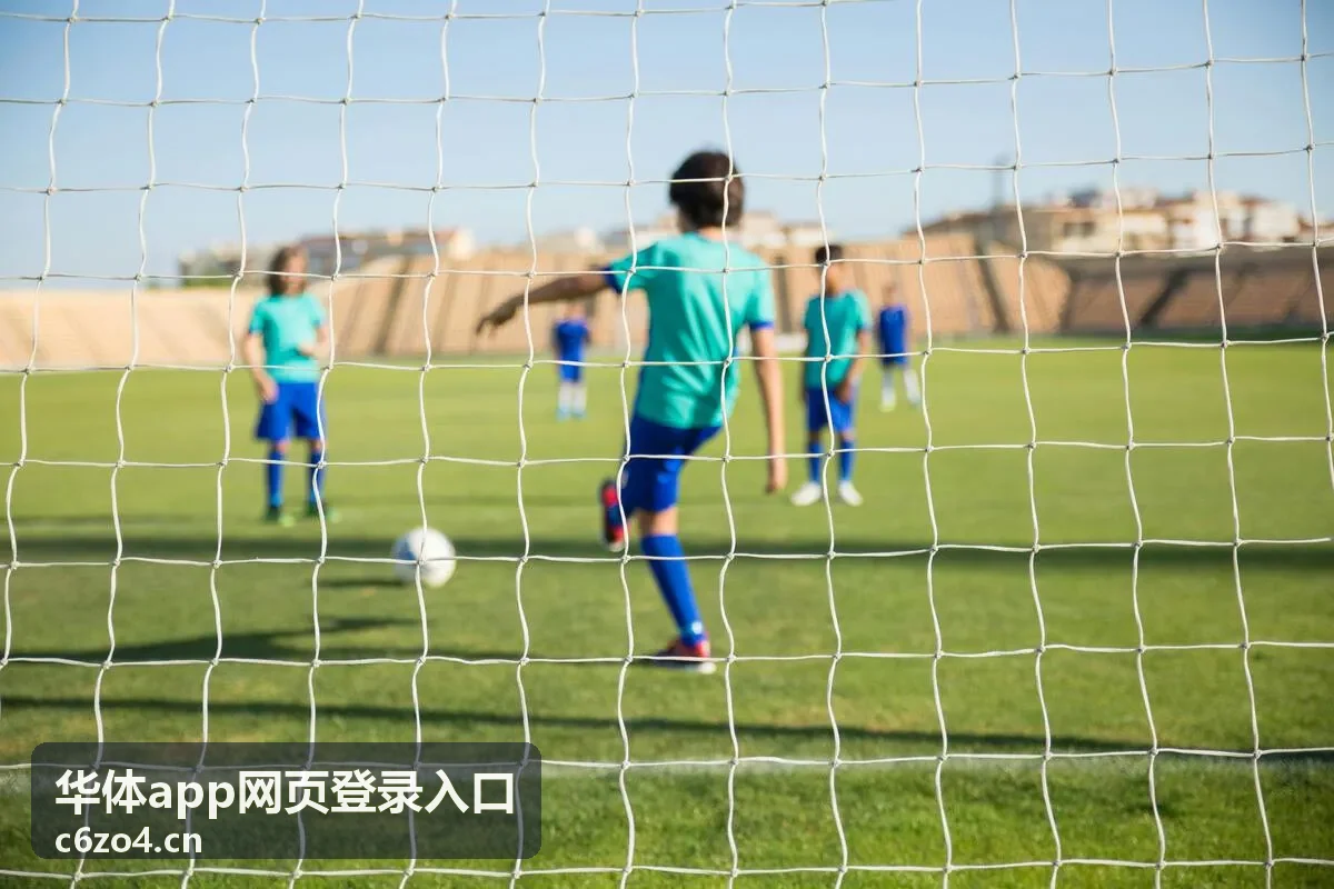 华体app网页登录入口网页端登录界面示意