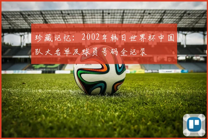 珍藏记忆：2002年韩日世界杯中国队大名单及球员号码全记录