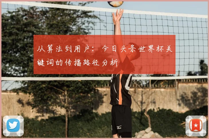 从算法到用户：今日头条世界杯关键词的传播路径分析