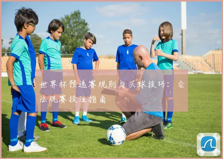 世界杯预选赛规则与买球技巧:合法观赛投注指南