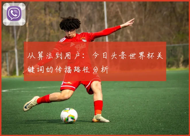 从算法到用户：今日头条世界杯关键词的传播路径分析