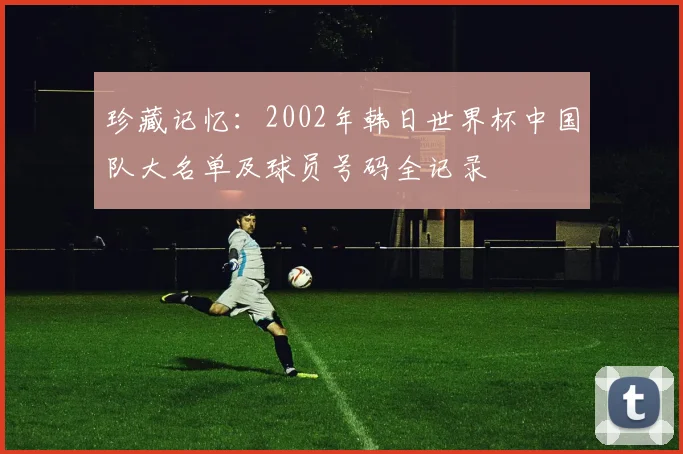 珍藏记忆：2002年韩日世界杯中国队大名单及球员号码全记录