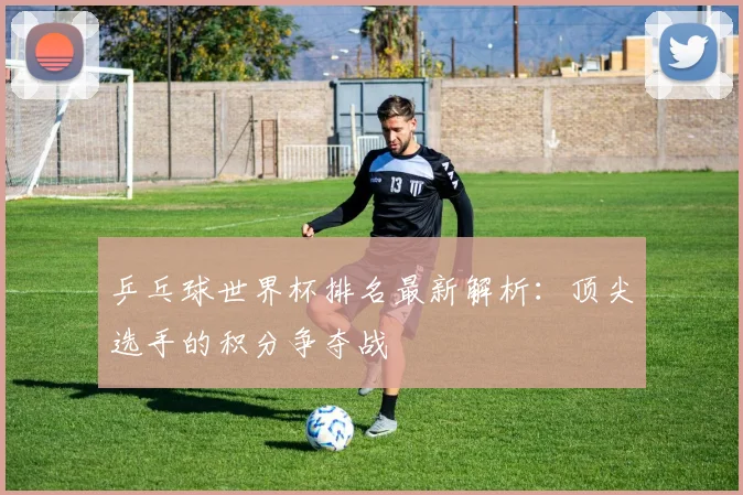 乒乓球世界杯排名最新解析：顶尖选手的积分争夺战