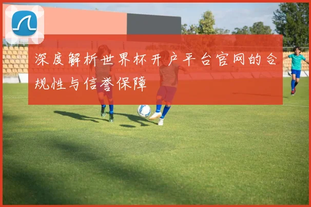 深度解析世界杯开户平台官网的合规性与信誉保障
